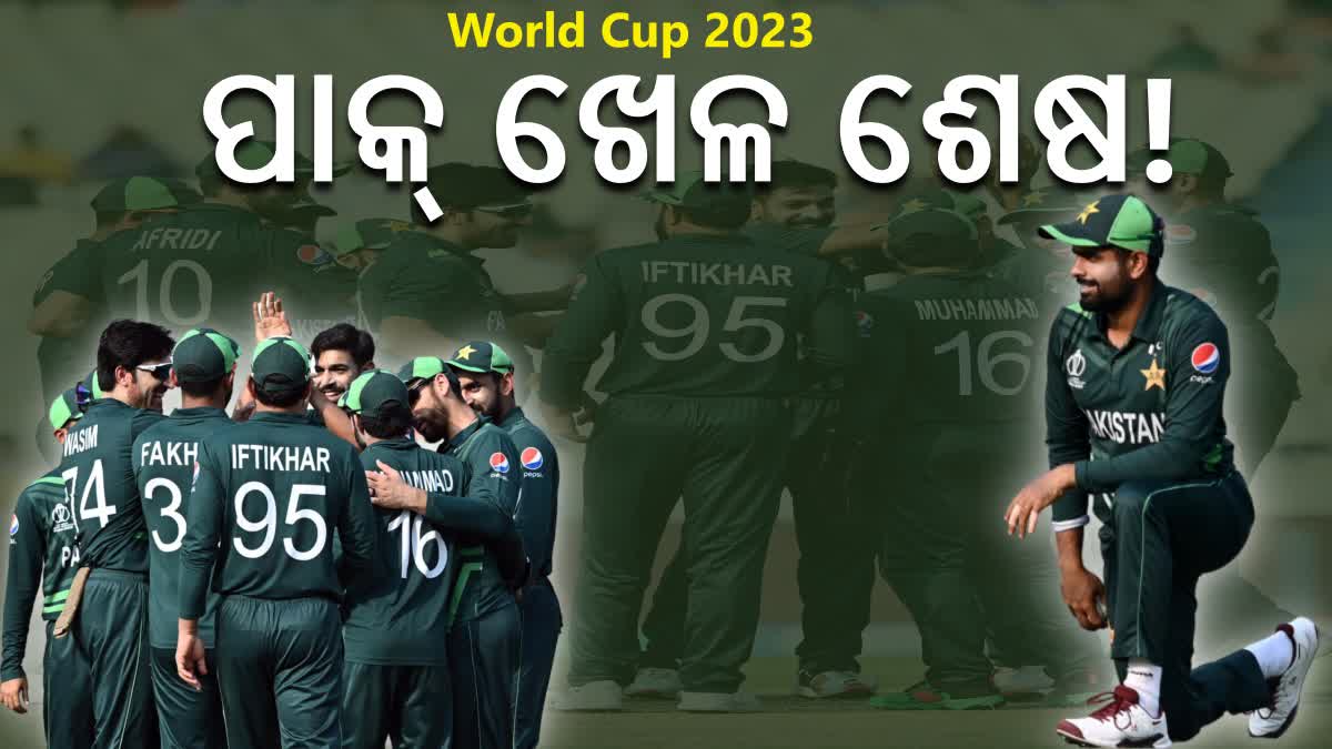 Cricket World Cup 2023