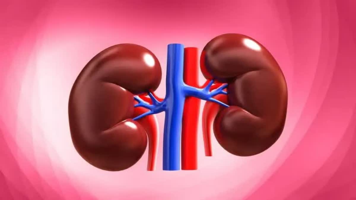 Kidney Detoxify News