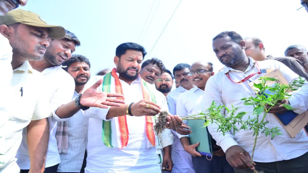 Etv Bharatminister-b-nagendra-did-drought-survey-in-bellary-district