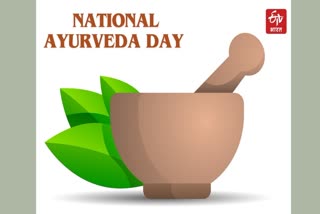 National Ayurveda Day 2023