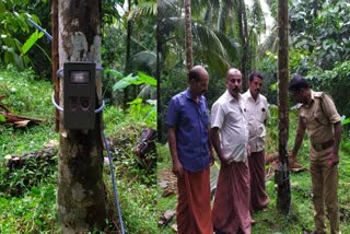 Tiger attack  forest department installed surveillance camera  installed surveillance camera due to tiger attack  installed surveillance camera  വളർത്തു നായയെ കടുവ പിടിച്ചു  tiger caught the pet dog  കടുവ ആക്രമണം  വനം വകുപ്പ് നിരീക്ഷണ ക്യാമറ സ്ഥാപിച്ചു  Forest department  കടുവ ഭീതിയില്‍ പ്രദേശവാസികള്‍