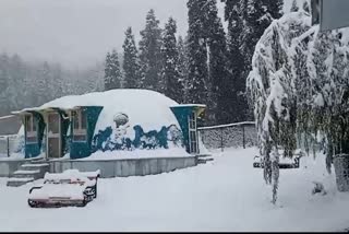 fresh snowfall in Kashmir