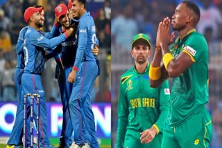 Cricket World Cup 2023 SA vs AFG