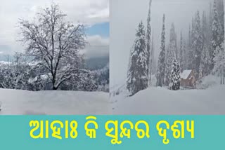 ଗୁଲମାର୍ଗରେ ବର୍ଷର ପ୍ରଥମ ତୁଷାରପାତ