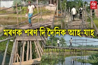 dilapidated Bamboo bridge creates havoc for the commuters at dalgaon