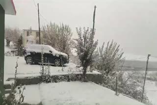 Snowfall in Himachal