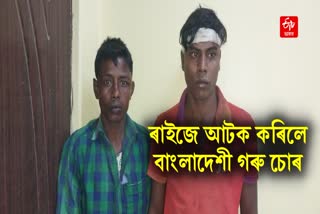Two Bangladeshi cattle thieves arrested in Dhubri