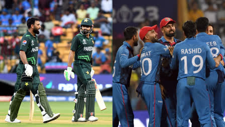 Cricket World Cup 2023  Semi Final Qualification Scenario  Pakistan Semi Final Qualification Scenario  Afghanistan Semi Final Qualification Scenario  Pakistan Chance In Semi Final  Afghanistan Chance In Semi Final  ഏകദിന ക്രിക്കറ്റ് ലോകകപ്പ്  ലോകകപ്പ് ക്രിക്കറ്റ്  പാകിസ്ഥാന്‍ അഫ്‌ഗാനിസ്ഥാന്‍  പാകിസ്ഥാന്‍റെയും അഫ്‌ഗാനിസ്ഥാന്‍റെയും സാധ്യതകള്‍