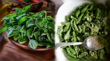 Etv BharatSpinach Recipe for Health