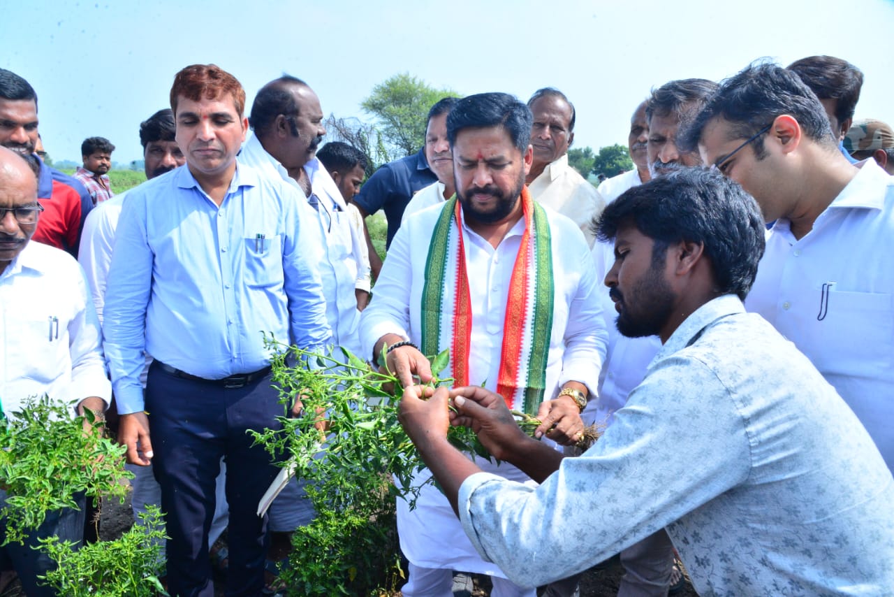 Minister B Nagendra  did Drought survey in Bellary district