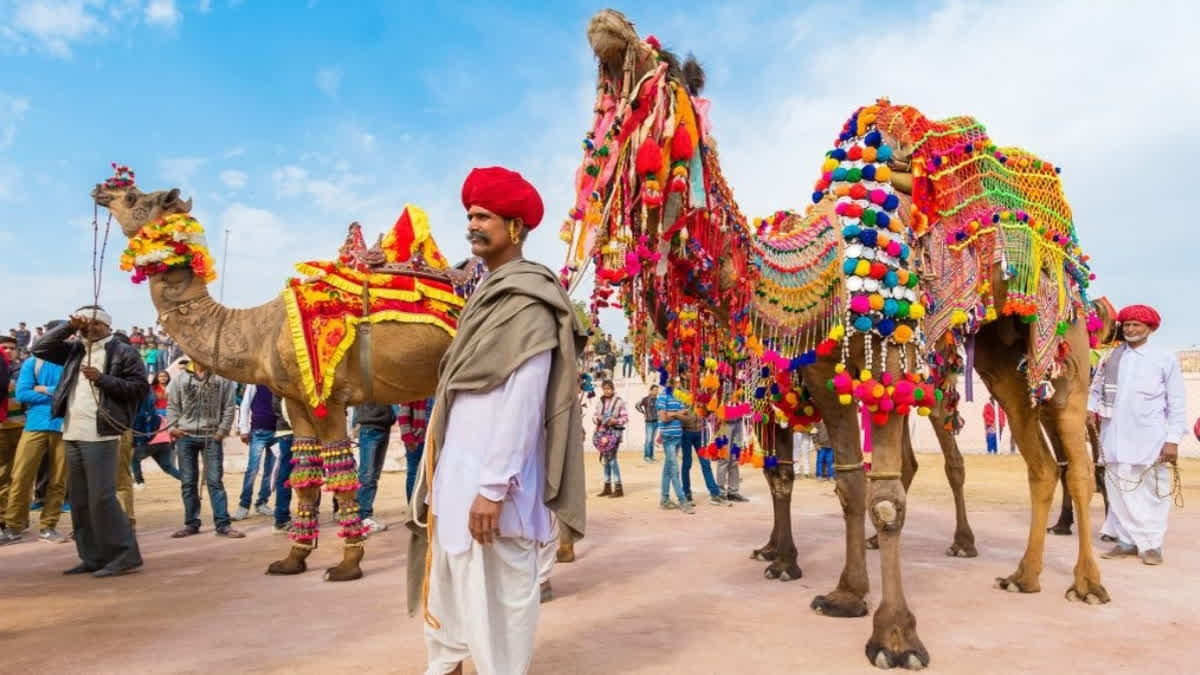 Top 10 Things To Do At Pushkar Camel Mela If You Are Visiting For The ...