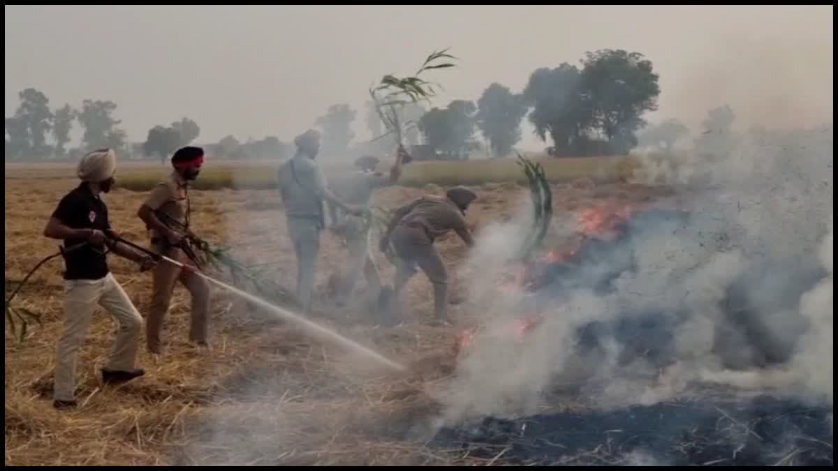 CASES OF STUBBLE BURNING