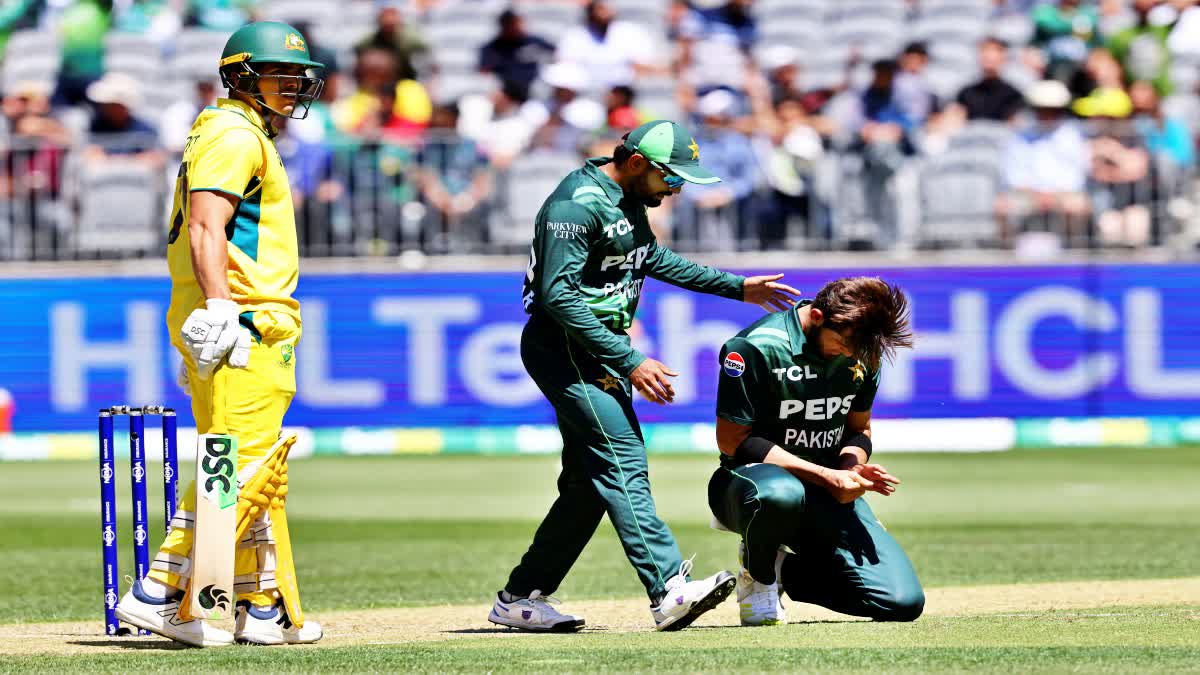 Babar Azam and Shaheen Afridi