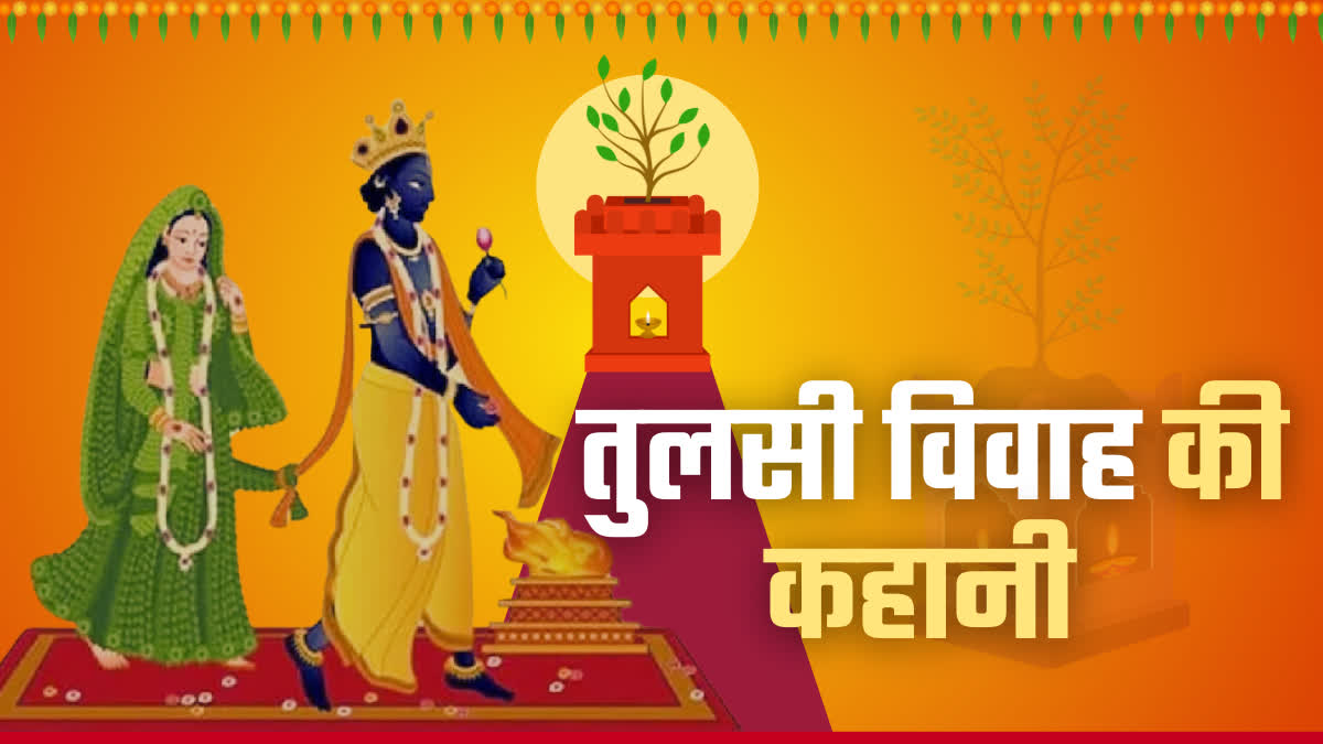 Tulsi Vivah 2024 Katha Complete Story of Tulsi vivah Know why did Lord Vishnu Shaligram Marry Tulsi