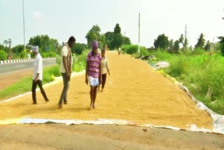 Paddy Procurement in AP