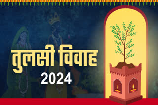 Tulsi Vivah 2024 Pooja Samagri List date time Puja Vidhi Tulsi vivah Puja