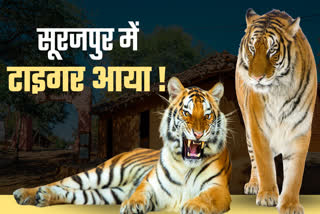 SURAJPUR FOREST DIVISION