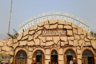 MUKUNDPUR TIGER RESERVE TICKETS