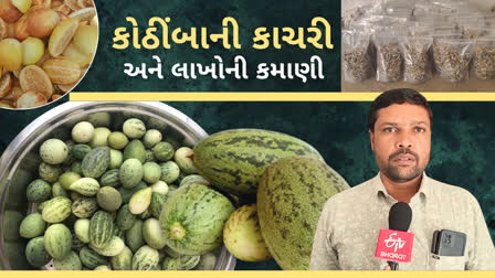 કોઠીંબામાંથી લાખોની કમાણી