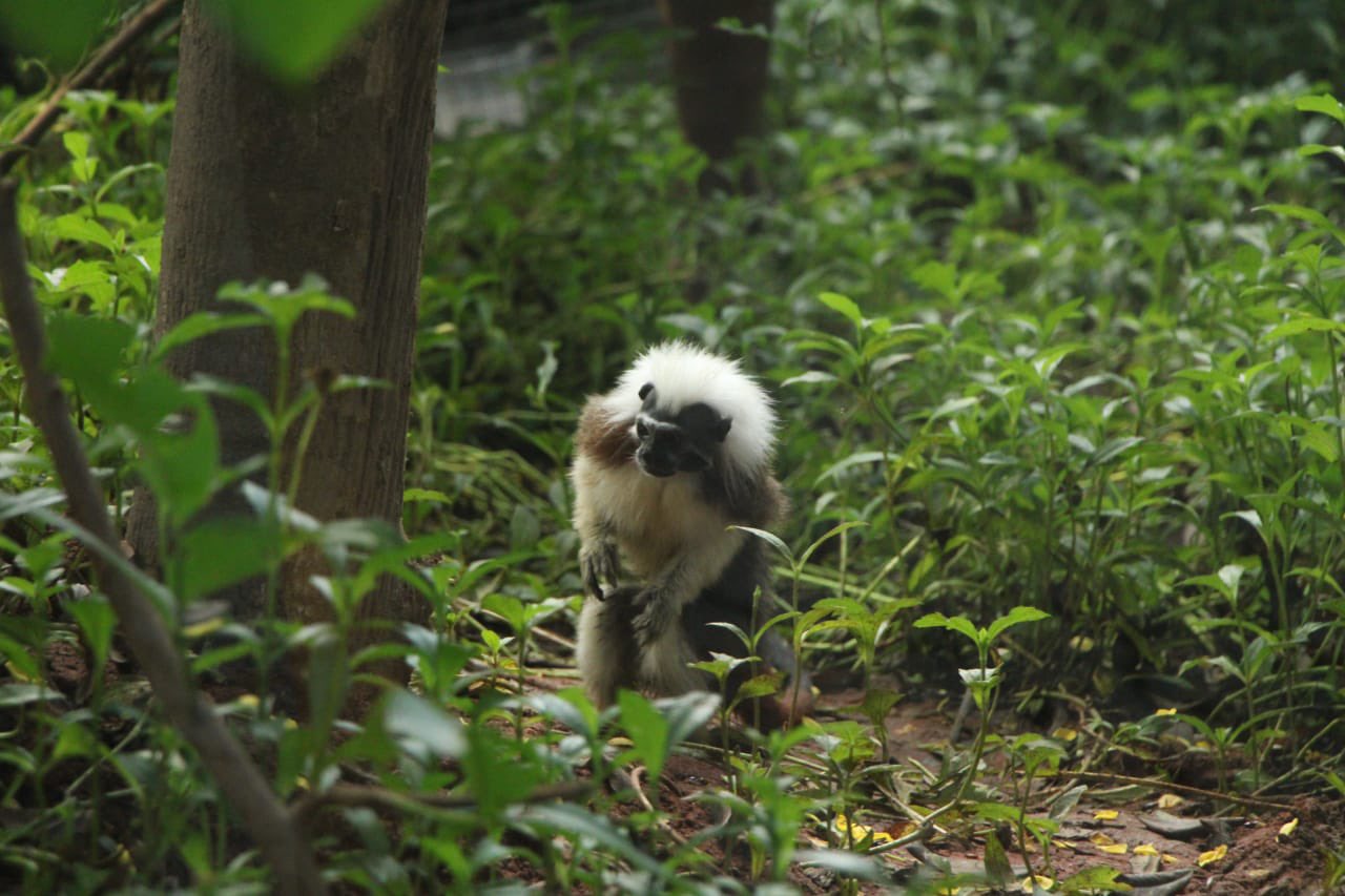 Nandankanan Zoological Park