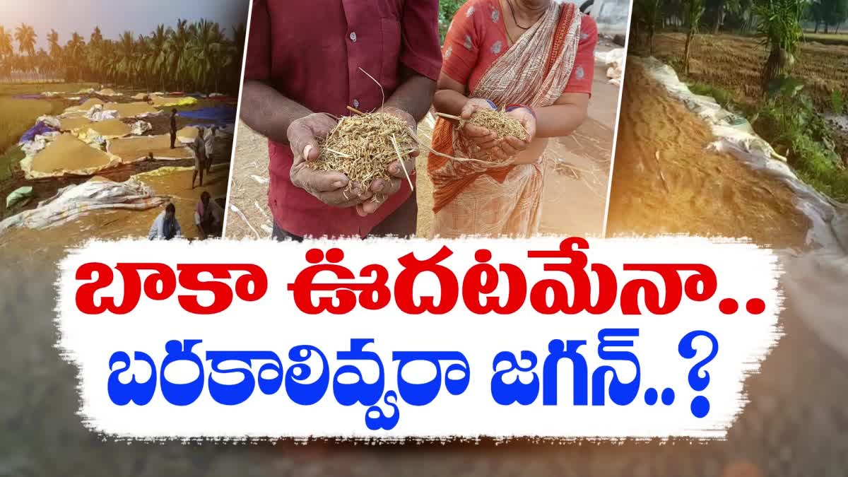 YSRCP_Government_Not_Giving_Tarpaulin_to_Farmers