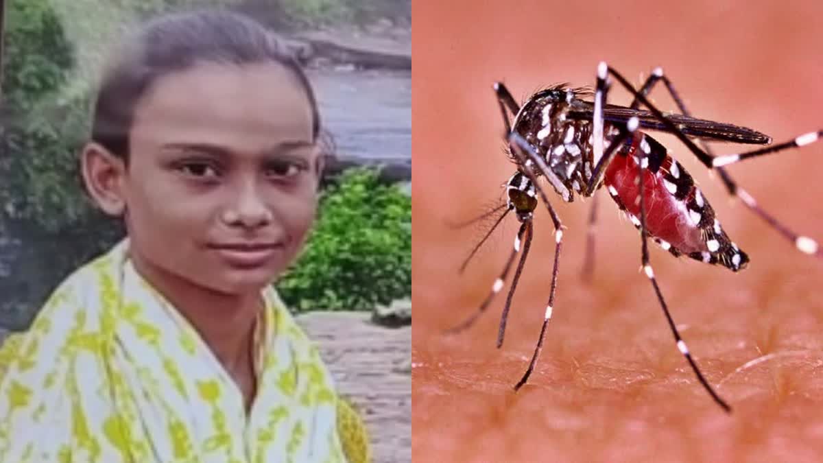 रोहतास में डेंगू से छात्रा की मौत