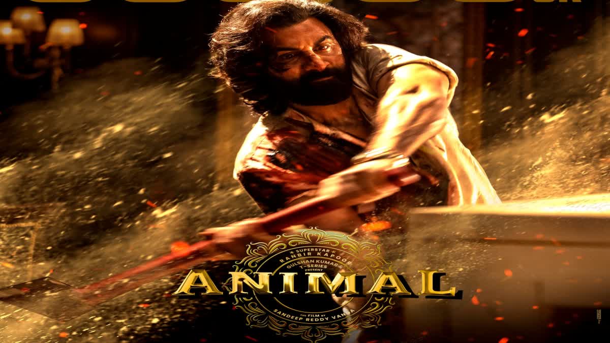 Animal Movie Box Office Collection