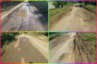 Damage Roads In Andhra Pradesh