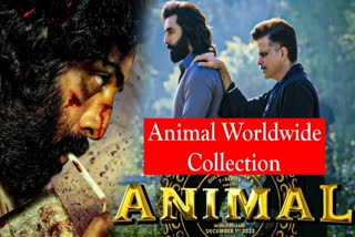 Animal worldwide box office collection day 9: Ranbir Kapoor starrer shows no signs of slowing down, mints over Rs 660 cr globally