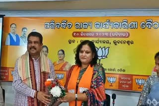 Bjp mahila morcha executive meeting