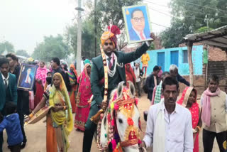 dalit groom climbs mare first time after independence
