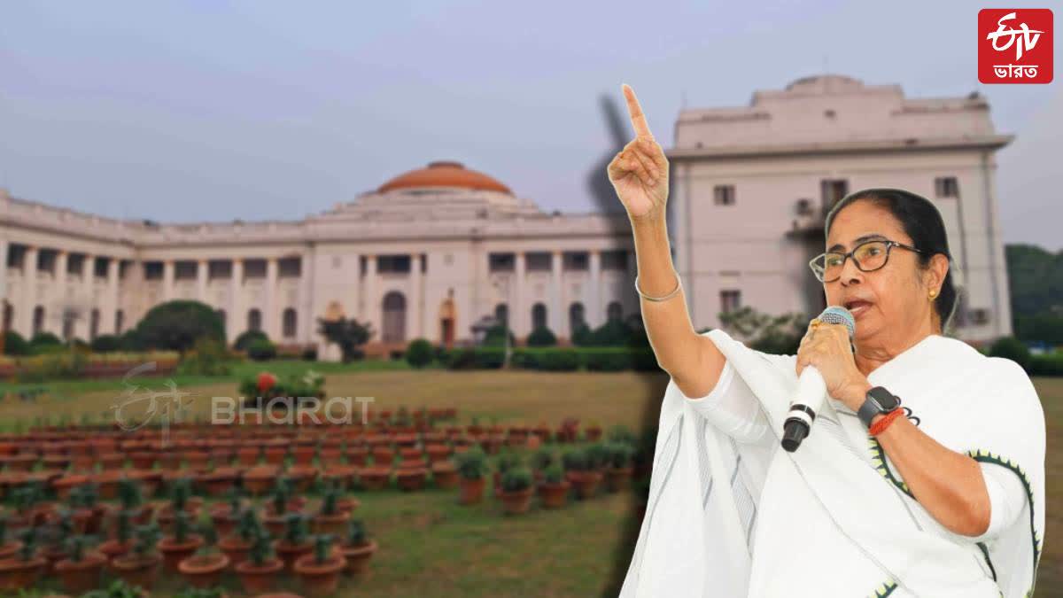 CM Mamata Banerjee