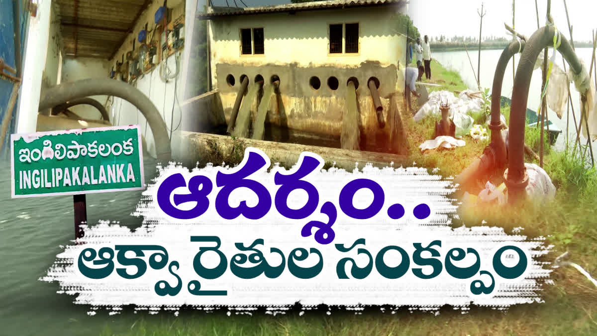 Aqua farmer towards irrigation solution In AP