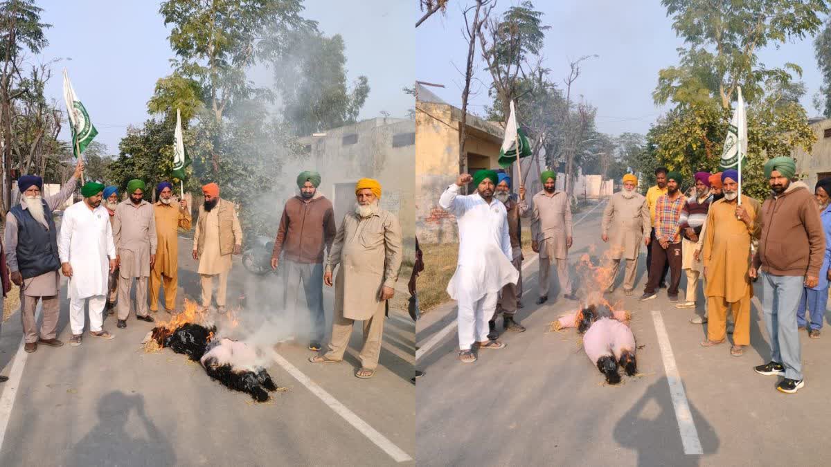 BLOWN EFFIGY CENTRAL HARYANA GOVT