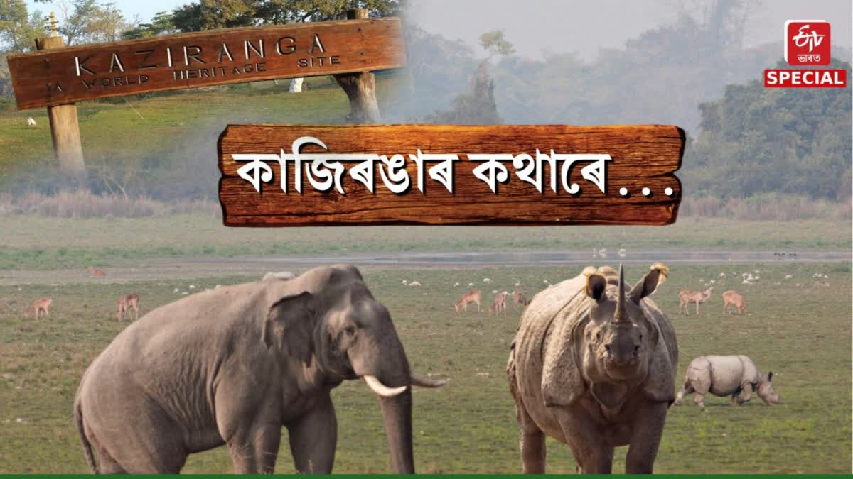 Kaziranga National Park