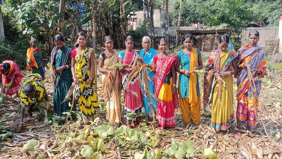 Turmeric farmers of Koraput