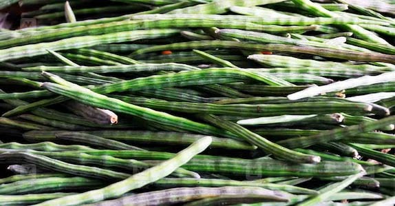 VEGETABLE DRUMSTICK PRICE KERALA  KERALA PRICE HIKE IN VEGETABLES  മുരിങ്ങ വില ഉയരുന്നു  പച്ചക്കറി വില കേരളം