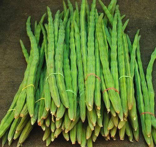 VEGETABLE DRUMSTICK PRICE KERALA  KERALA PRICE HIKE IN VEGETABLES  മുരിങ്ങ വില ഉയരുന്നു  പച്ചക്കറി വില കേരളം