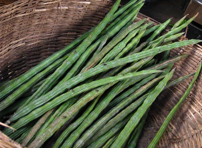 VEGETABLE DRUMSTICK PRICE KERALA  KERALA PRICE HIKE IN VEGETABLES  മുരിങ്ങ വില ഉയരുന്നു  പച്ചക്കറി വില കേരളം