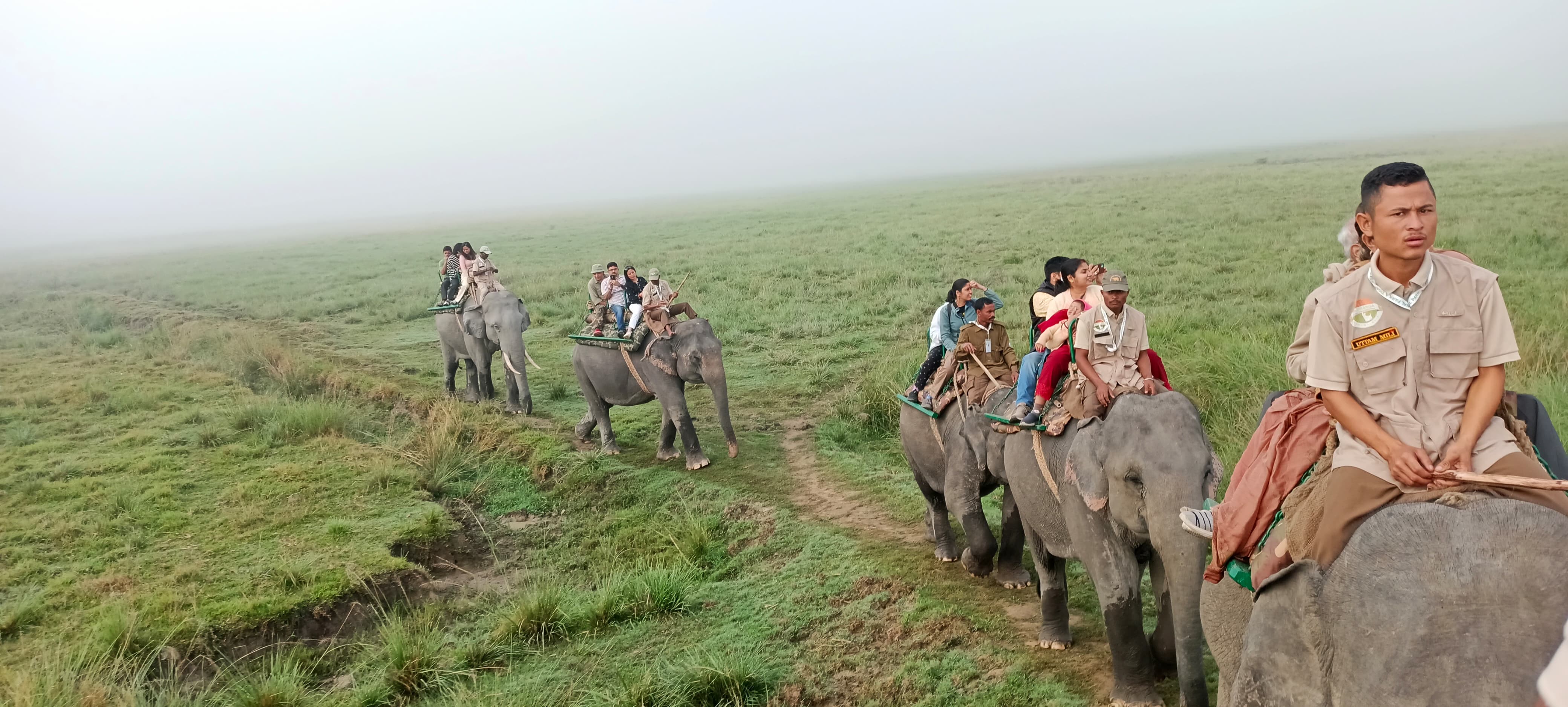 Kaziranga National Park