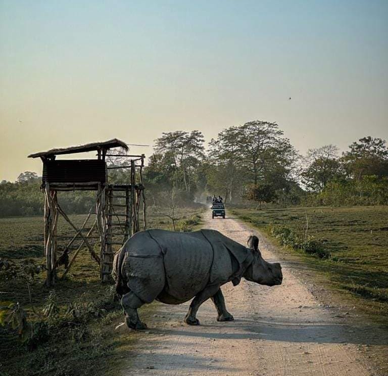 Kaziranga National Park