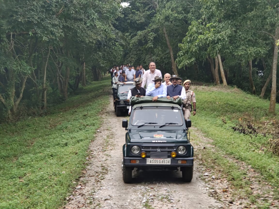 Kaziranga National Park