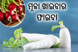 health benefits of radish