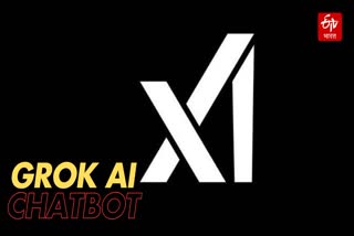 Grok AI Chatbot