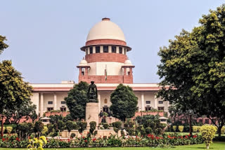 'Want List Of All Affluent Persons, Who Benefited': SC In Tree Felling In Delhi Ridge