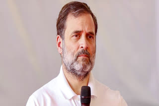 Rahul Gandhi Meets Families Of Sambhal Violence Victims In Delhi