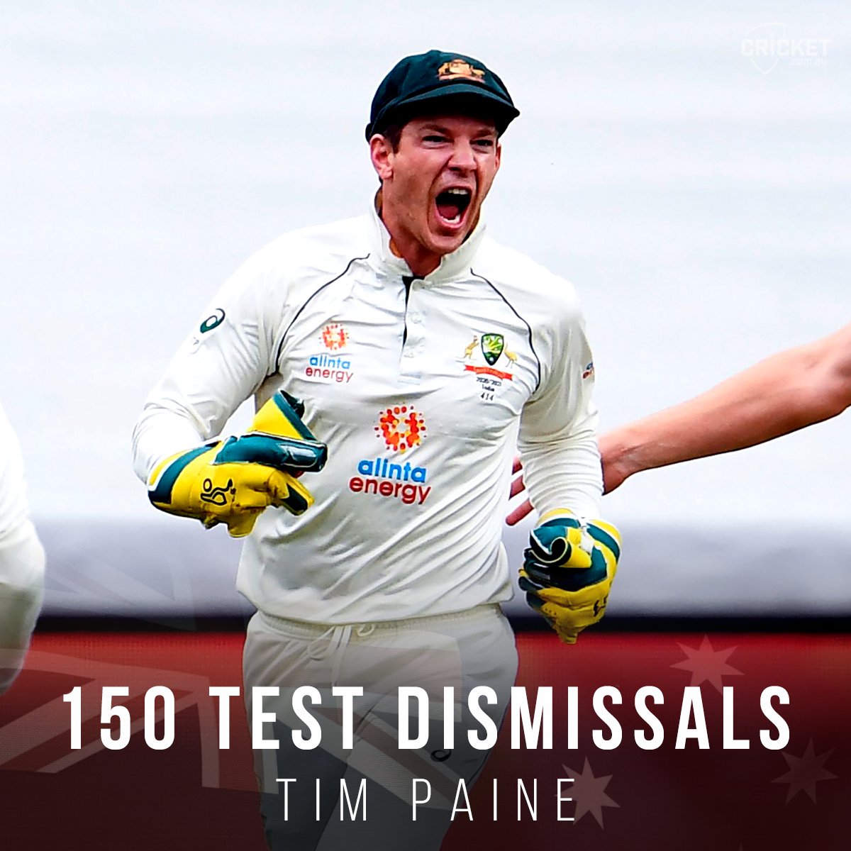 tim paine