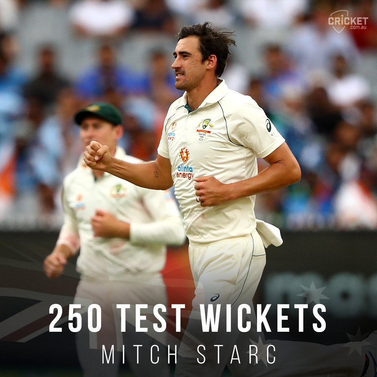 starc made record in test cricket