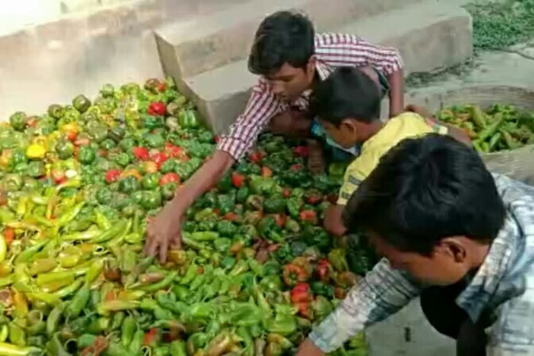 संजय कार्लेकर यांनी कुटुंबियांसाठी बदलला व्यवसाय