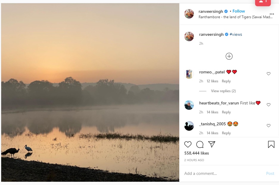 Ranveer shares first glimpse of Ranthambore